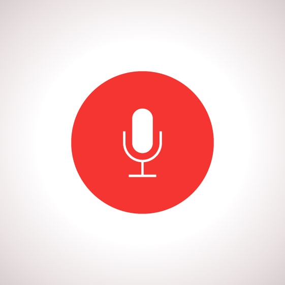 seo company cape town guide google voice search icon