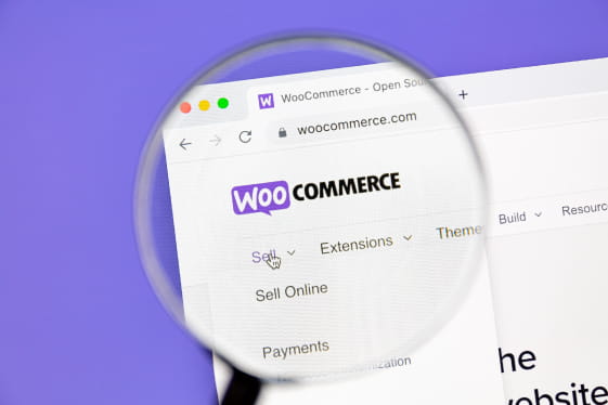 seo cape town guide to woocommerce search
