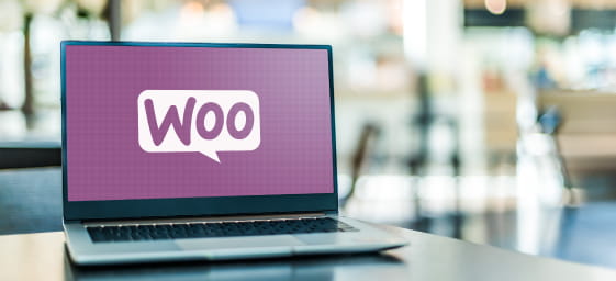 seo cape town woocommerce seo computer