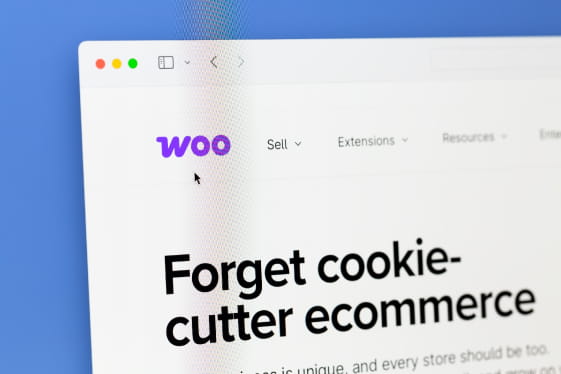 seo cape town woocommerce support